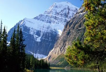 天涯社区：在人海中寻找共鸣